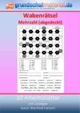 Wabenrätsel_Mehrzahl_(Abgedeckt).pdf